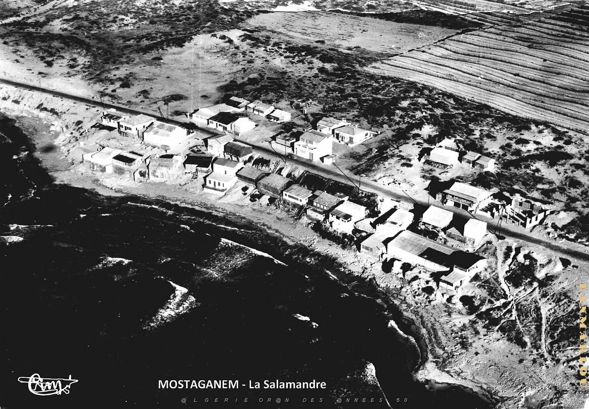Mostaganem - Salamandre.jpg